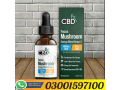 relax-blend-mushroom-tincture-cbn-cbd-price-in-pakistan-03001597100-small-0