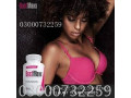 bustmaxx-breast-pills-price-in-pakistan-03000732259-small-0