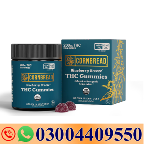 blueberry-breeze-thc-gummies-10mg-in-pakistan-03004409550-big-0