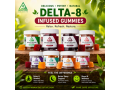 green-farm-delta-8-gummies-in-dera-murad-jamali-03004409550-small-0