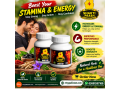 shakti-prash-in-pakistan-03001597100-small-0